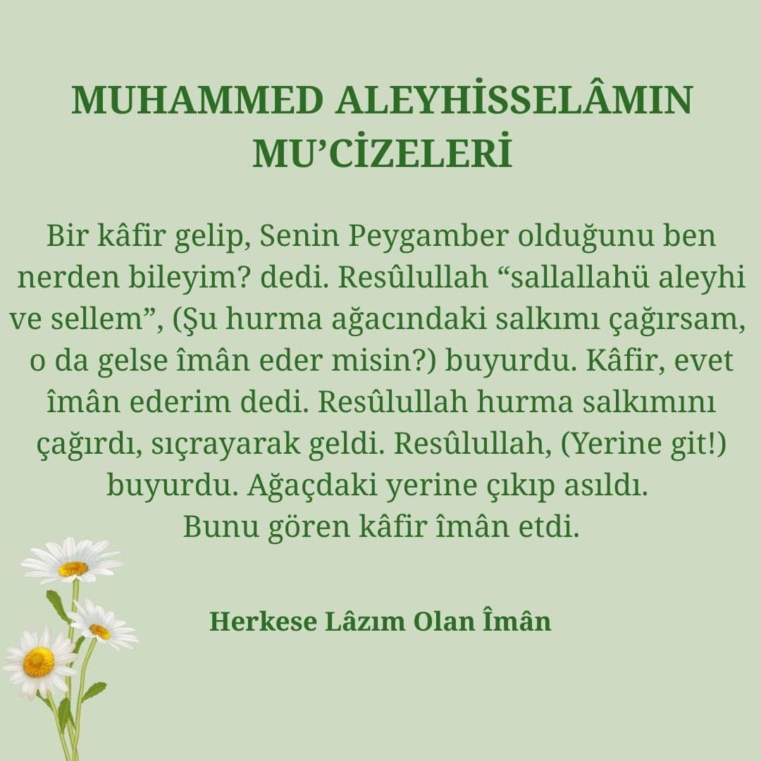 Mucizeleri (11)